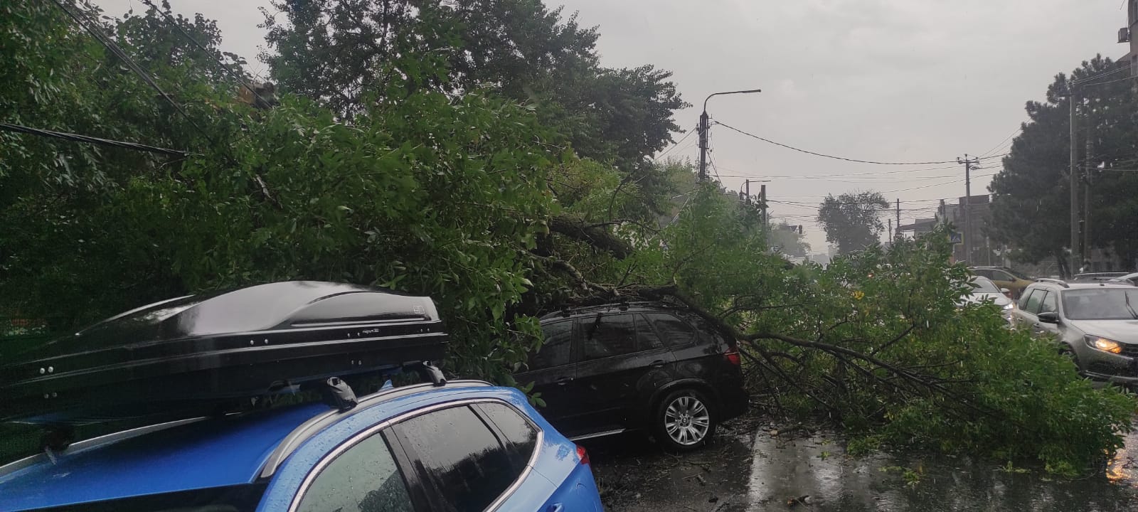 Вебинар № 1. Информация, которую необходимо предоставить потребителю